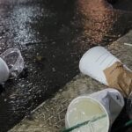 Advanced waste management system representing the gold standard for Civic Sense in India.