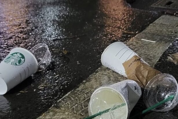 Advanced waste management system representing the gold standard for Civic Sense in India.