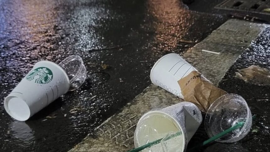 Advanced waste management system representing the gold standard for Civic Sense in India.