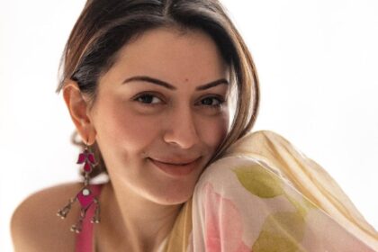 Hansika Motwani divorce news Sohail Khaturiya mutual consent.