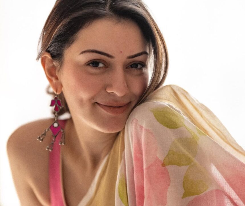 Hansika Motwani divorce news Sohail Khaturiya mutual consent.